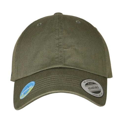 Gorras y accesorios Gorra Ecowash Dad