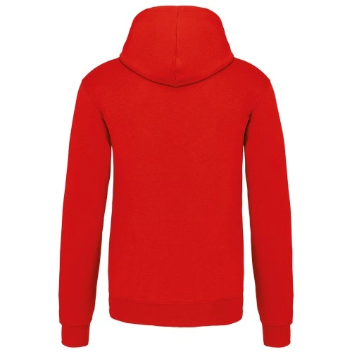 Sudadera capucha contrastada hombre