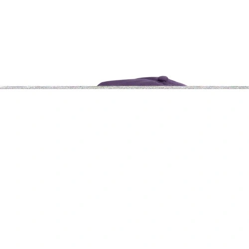 First - Gorra 5 paneles