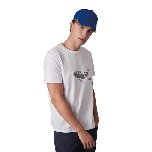 Gorra - 5 paneles