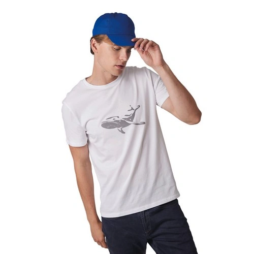 Gorra - 5 paneles