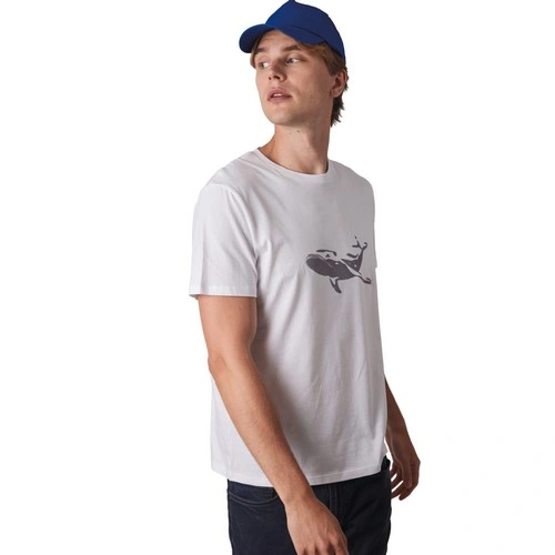 Gorra - 5 paneles