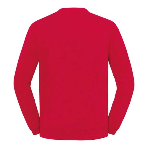 Sudadera Iconic 250