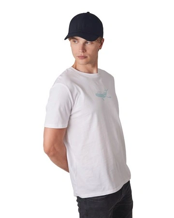 Gorra 6 paneles algodón reciclado eco 260gsm